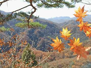 816969澳彩网资料大全	峨眉山失联南京摄影师好友发声