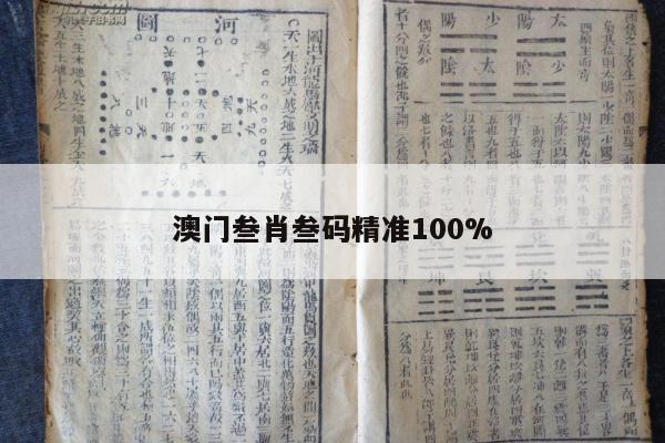 澳门叁肖叁码精准100%