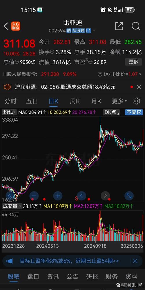 比亚迪股价跌超8%,比亚迪股价跌超800亿