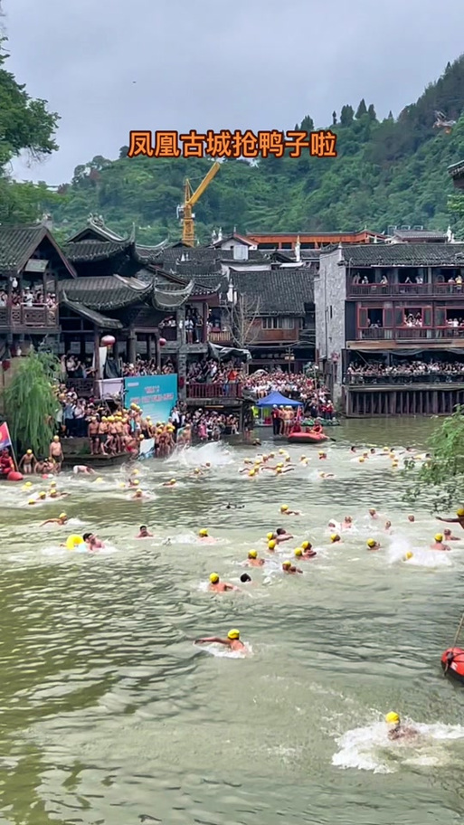 74549.cσm查询开奖记录和凤凰古城百人抢鸭子与凤凰古城百人抢鸭子是真的吗