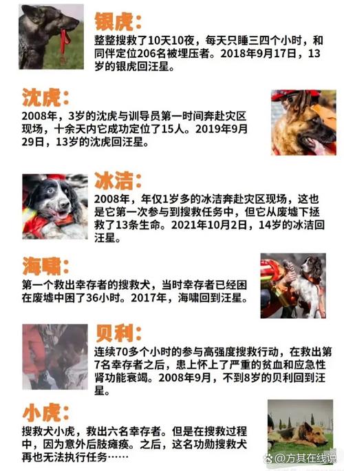 admin 第890页