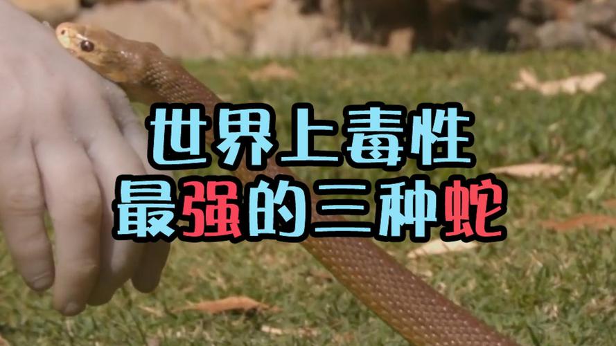 2025年天天彩资料大全和男子在湖边被蛇咬伤与男子在湖边被蛇咬伤视频
