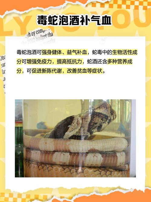 新澳2025正版免費資料和被蛇咬两年仍后遗症与被蛇咬了几年后身体有毒素吗