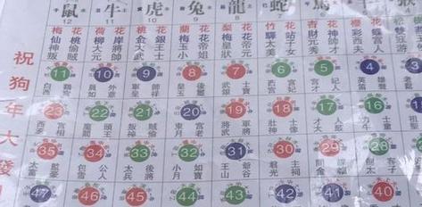 新澳2025资料最新大全和考生排队摸985车牌与